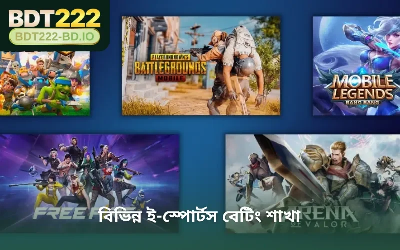 বিভিন্ন ই-স্পোর্টস বেটিং শাখা