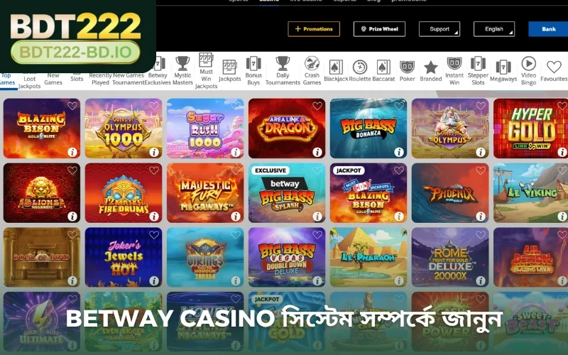 Betway Casino সিস্টেম সম্পর্কে জানুন