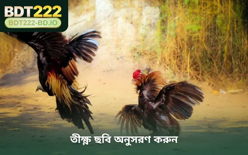 তীক্ষ্ণ ছবি অনুসরণ করুন