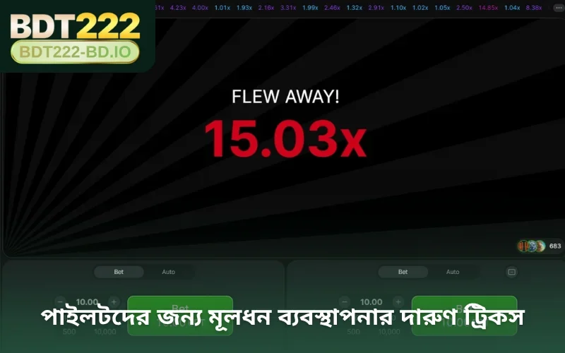 পাইলটদের জন্য মূলধন ব্যবস্থাপনার দারুণ ট্রিকস